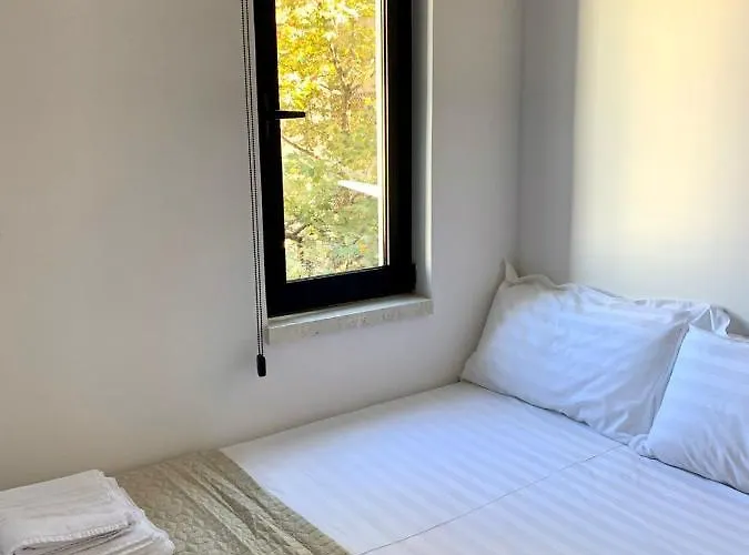 Digital Nomad Ap Tirana